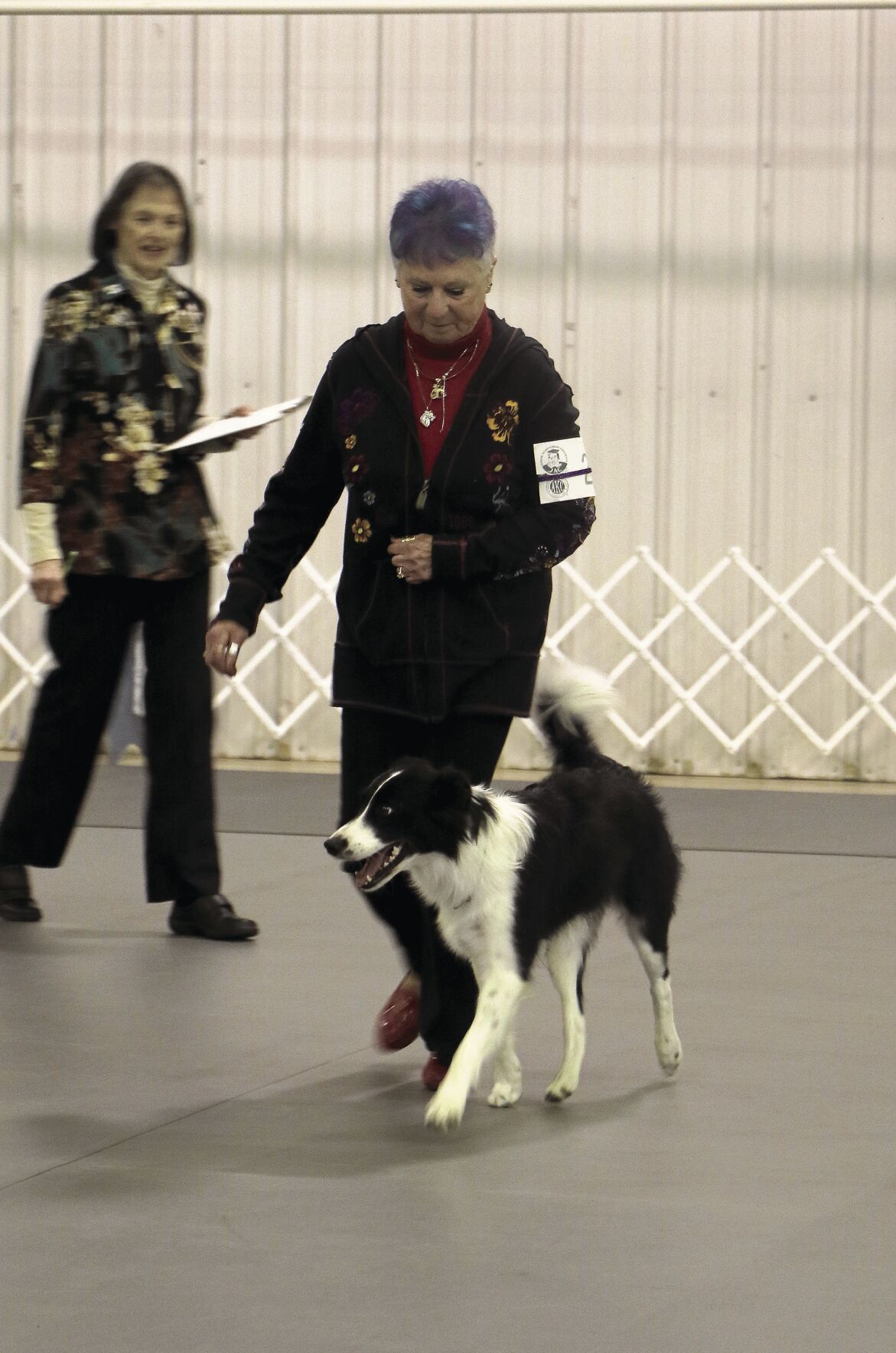 PHOTOS: 2022 AKC Dog Show